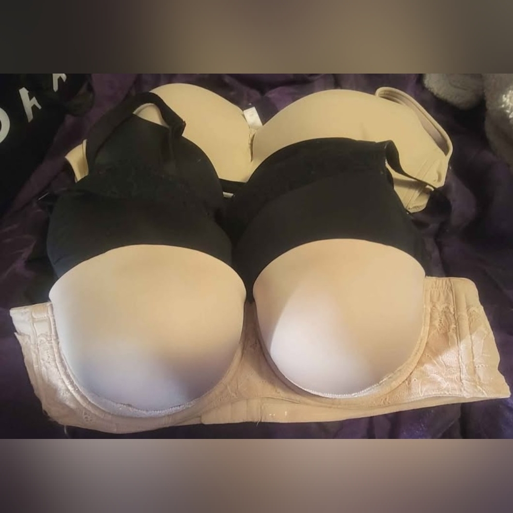 Torrid Bras 42B